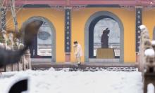 焦山21