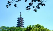 焦山15