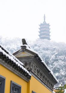 焦山20