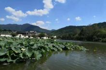 黄山汤口镇8