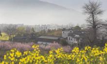 卢村13
