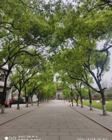 浮梁古县衙景区17