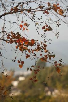 塔川13