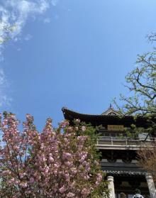 北固山22