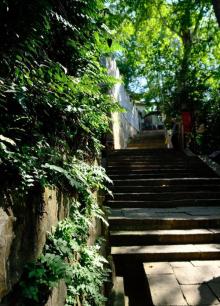 北固山6