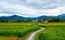 南屏景区18