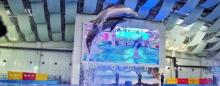 合肥海洋世界15