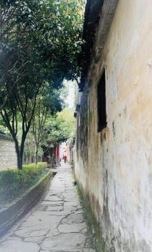 江湾景区25