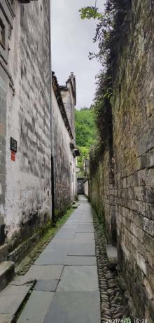江湾景区12