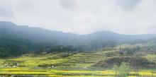 江湾景区26