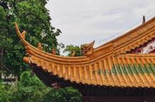 南京市博物馆5