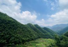 木坑竹海28