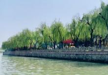 扬州古运河30