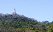 道场山1