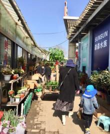 屯溪老街21