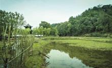 李坑景区5