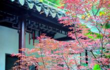 瞻园1