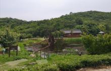 不老村20