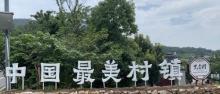 不老村22