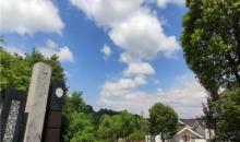 不老村4