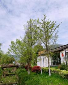 不老村26