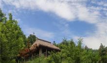不老村12