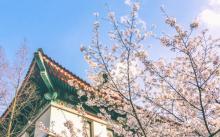 鸡鸣寺15