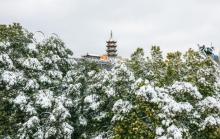 鸡鸣寺17