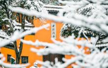 鸡鸣寺18