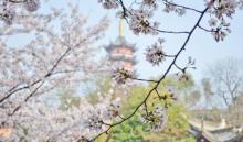 鸡鸣寺11