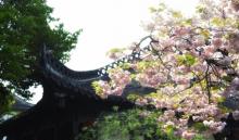 何园18