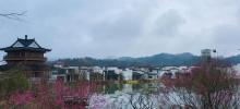 婺女洲度假区21