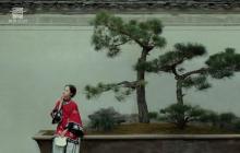 西递10