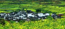 婺源风景区3
