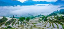 婺源风景区14