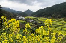 婺源风景区8