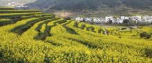 婺源风景区10