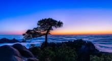 三清山风景区3