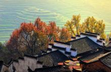 婺源篁岭13