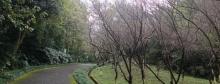 潜山公园1