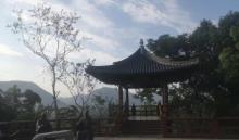 陆羽茶文化景区3