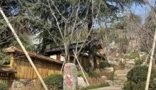陆羽茶文化景区1