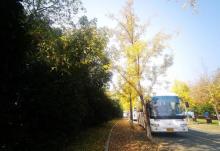 长兴江南红村3