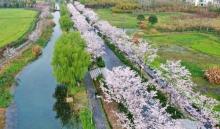 长田漾湿地9