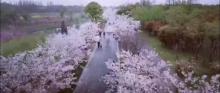 长田漾湿地6