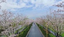 长田漾湿地8