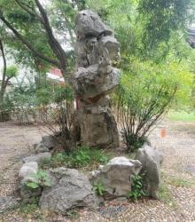 万兴公园3