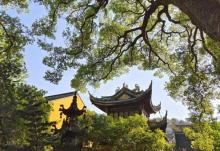 铜观音寺9