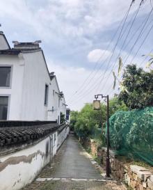 杨湾村4