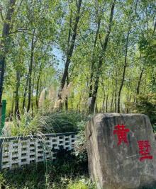 青蛙主题村3